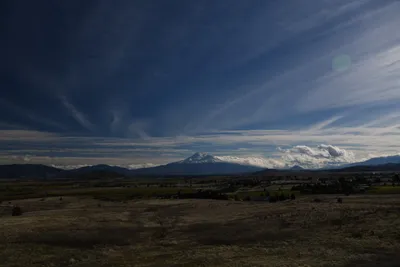 DSC_6774 (Large).JPG